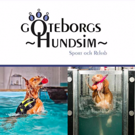 Göteborgs hundsim