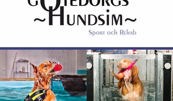 Göteborgs hundsim